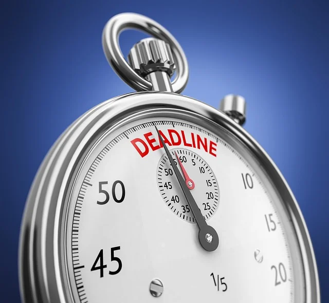 edhec mim deadlines